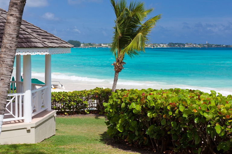 Tropical Beach House